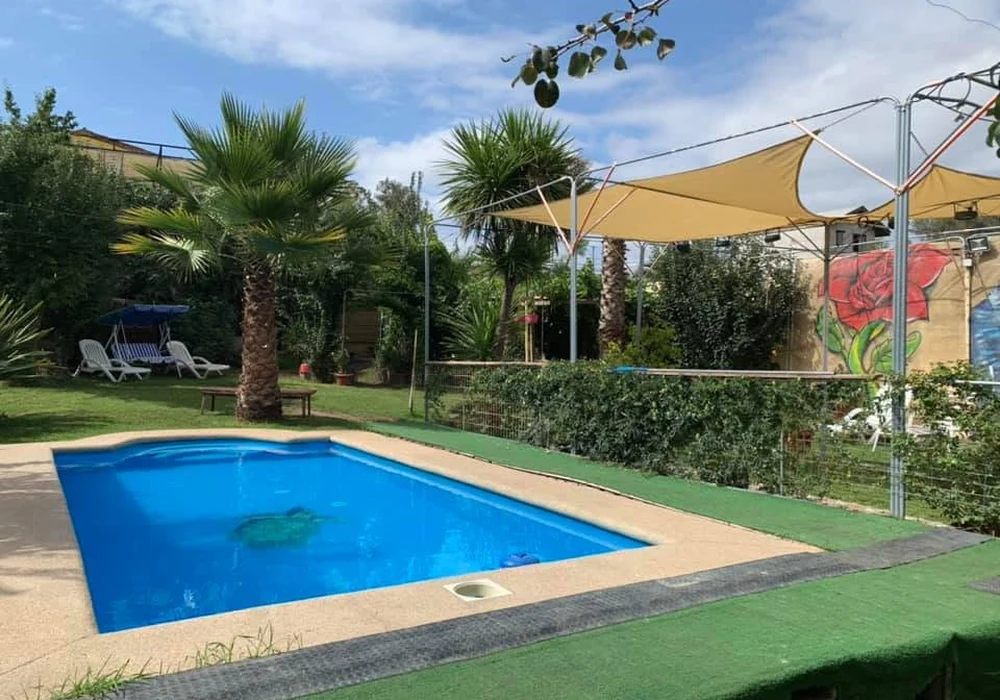 Piscina y zona de jardín del recinto